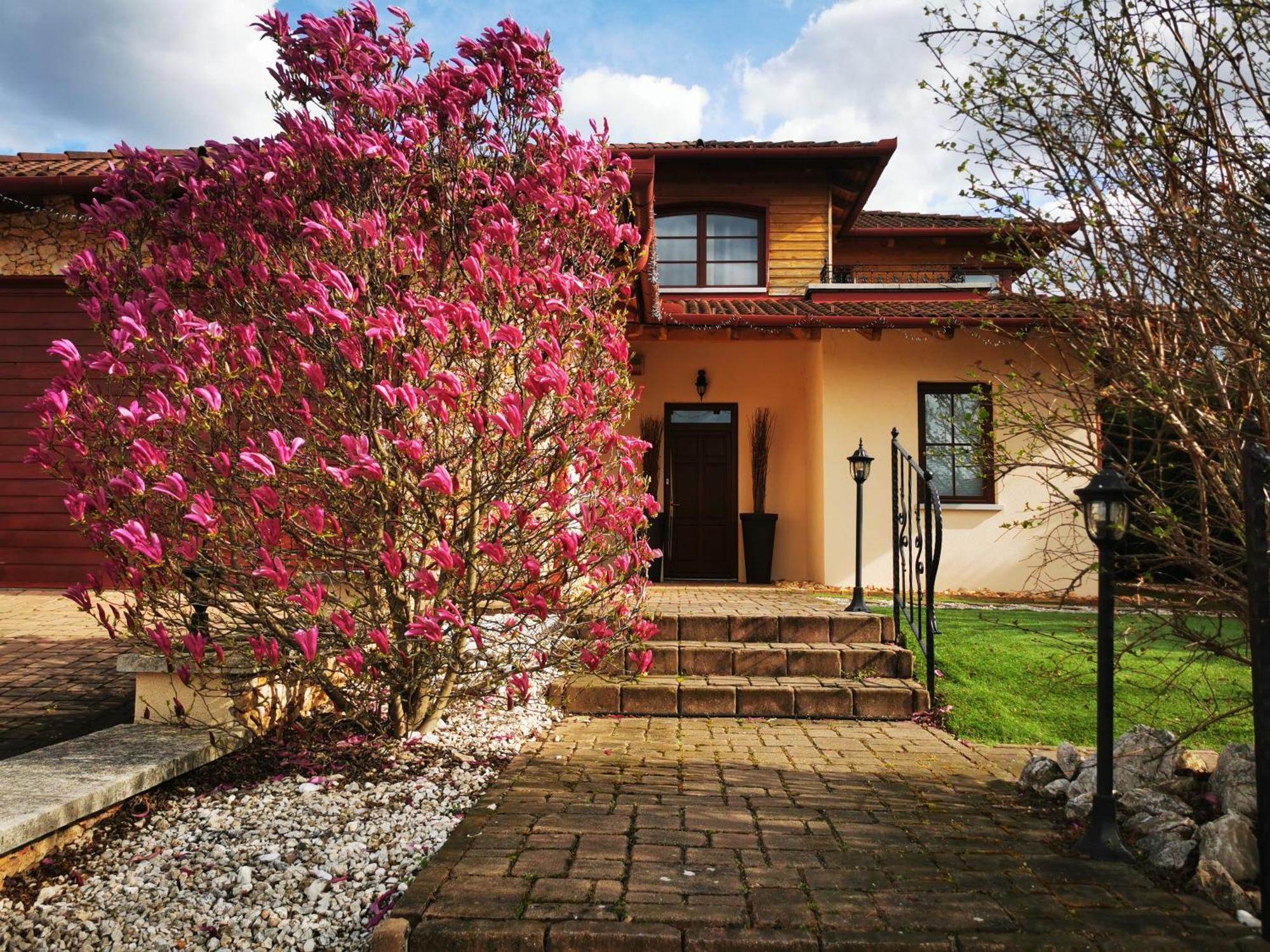 Mogyoród Luxury Basement In The Surrounding Of Budapest 아파트 외부 사진